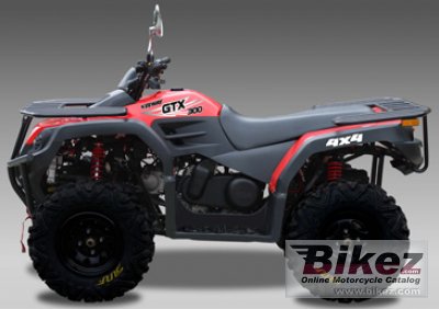 2010 Keeway ATV 300 photo